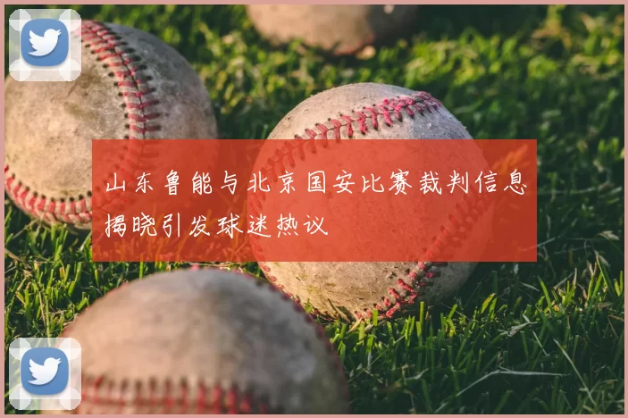 山东鲁能与北京国安比赛裁判信息揭晓引发球迷热议