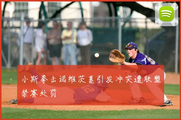 小斯拳击诺维茨基引发冲突遭联盟禁赛处罚