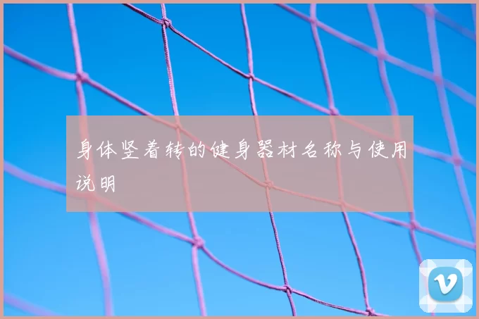 身体竖着转的健身器材名称与使用说明