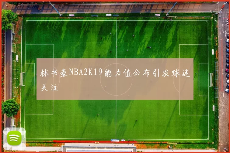 林书豪NBA2K19能力值公布引发球迷关注