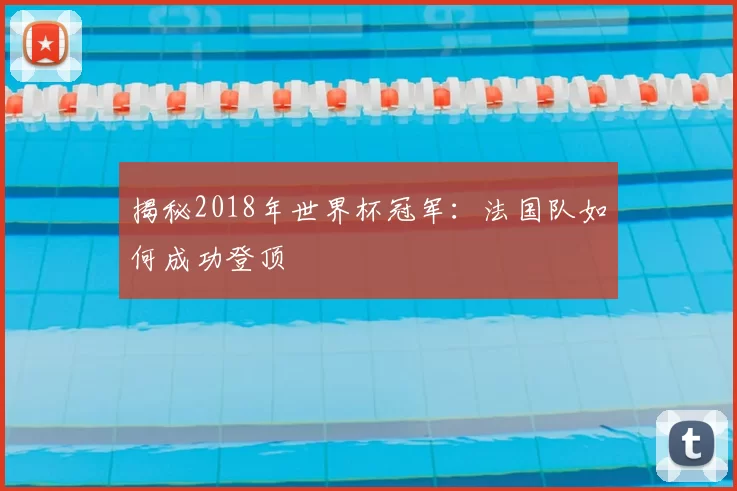 揭秘2018年世界杯冠军：法国队如何成功登顶
