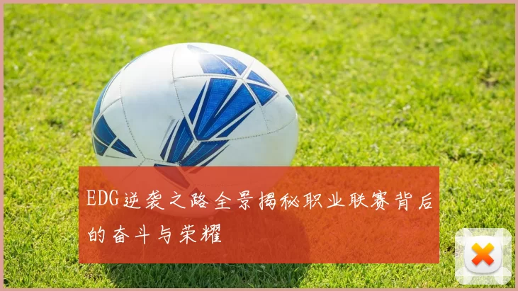 EDG逆袭之路全景揭秘职业联赛背后的奋斗与荣耀