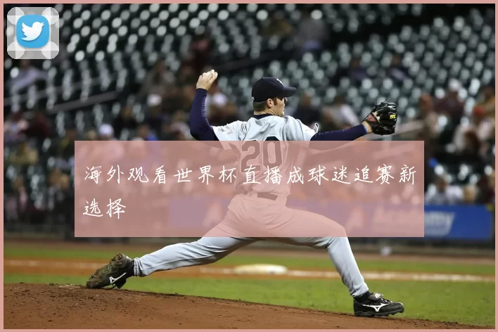 海外观看世界杯直播成球迷追赛新选择