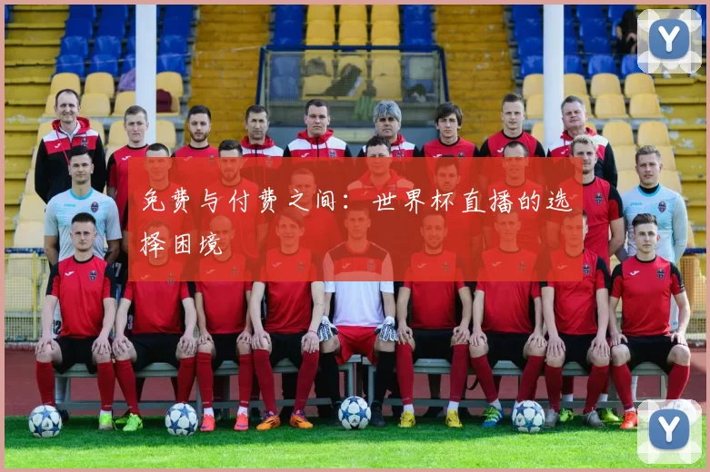 免费与付费之间:世界杯直播的选择困境