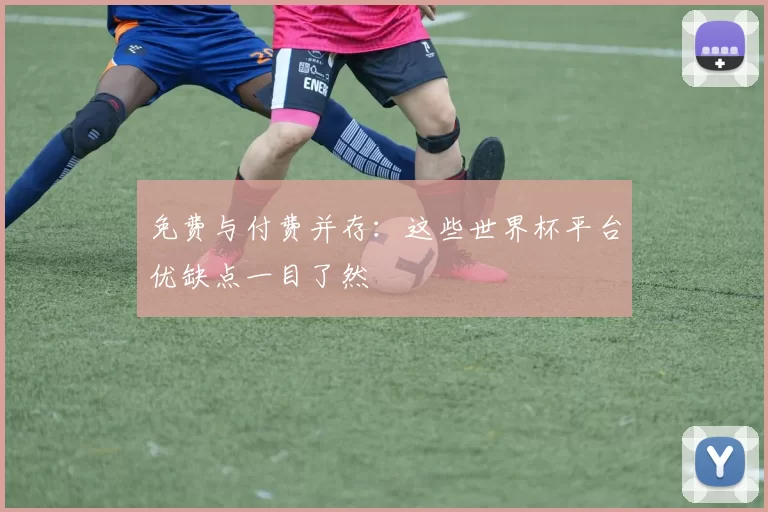 免费与付费并存:这些世界杯平台优缺点一目了然